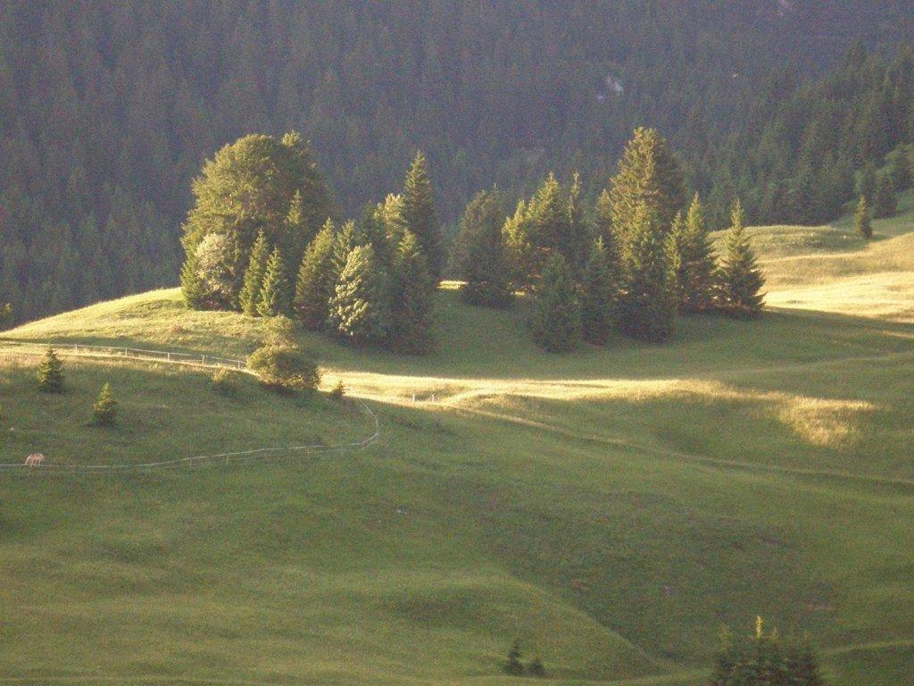 Alpenhof "Alt Laehn" Otel Dış mekan fotoğraf